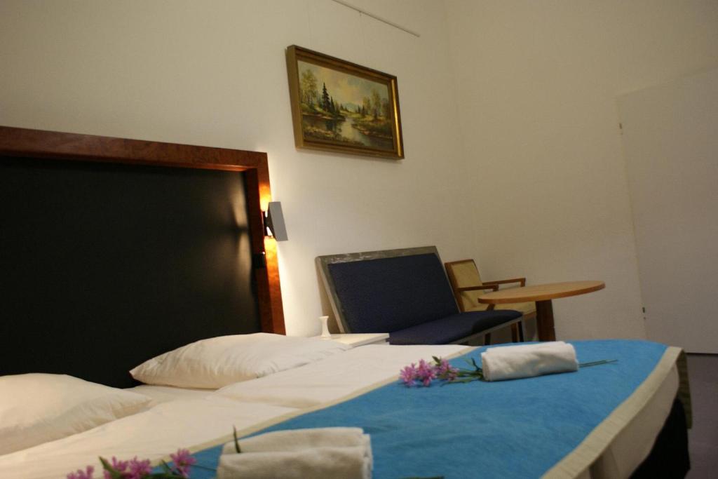 Двухместный (Двухместный номер с 1 кроватью и душем), Hotel Garni Aaberna