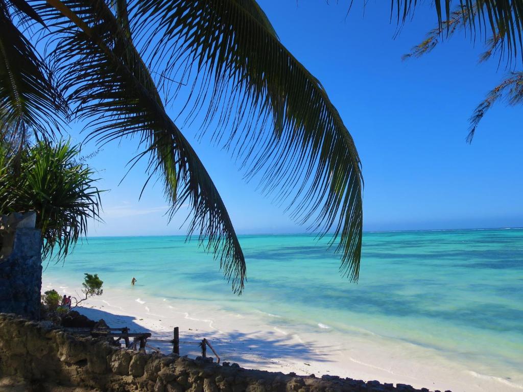 Queen of Sheba Beach Lodge photo 4