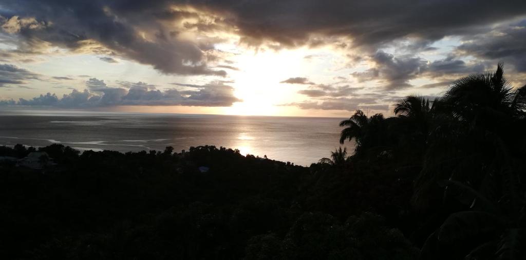 GITE REVE CARAIBES LE PETIT HAVRE photo 4