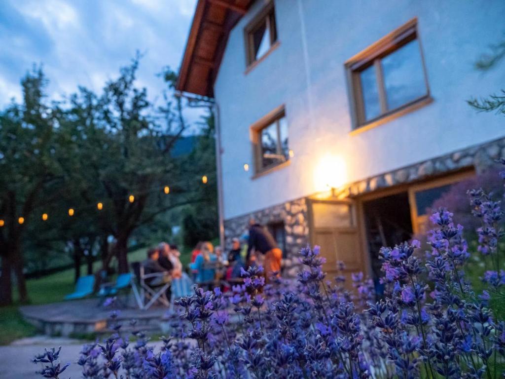 Alpeambient house Dovje photo 4
