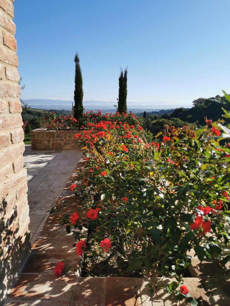 Residenza al Poggio degli Ulivi photo 4