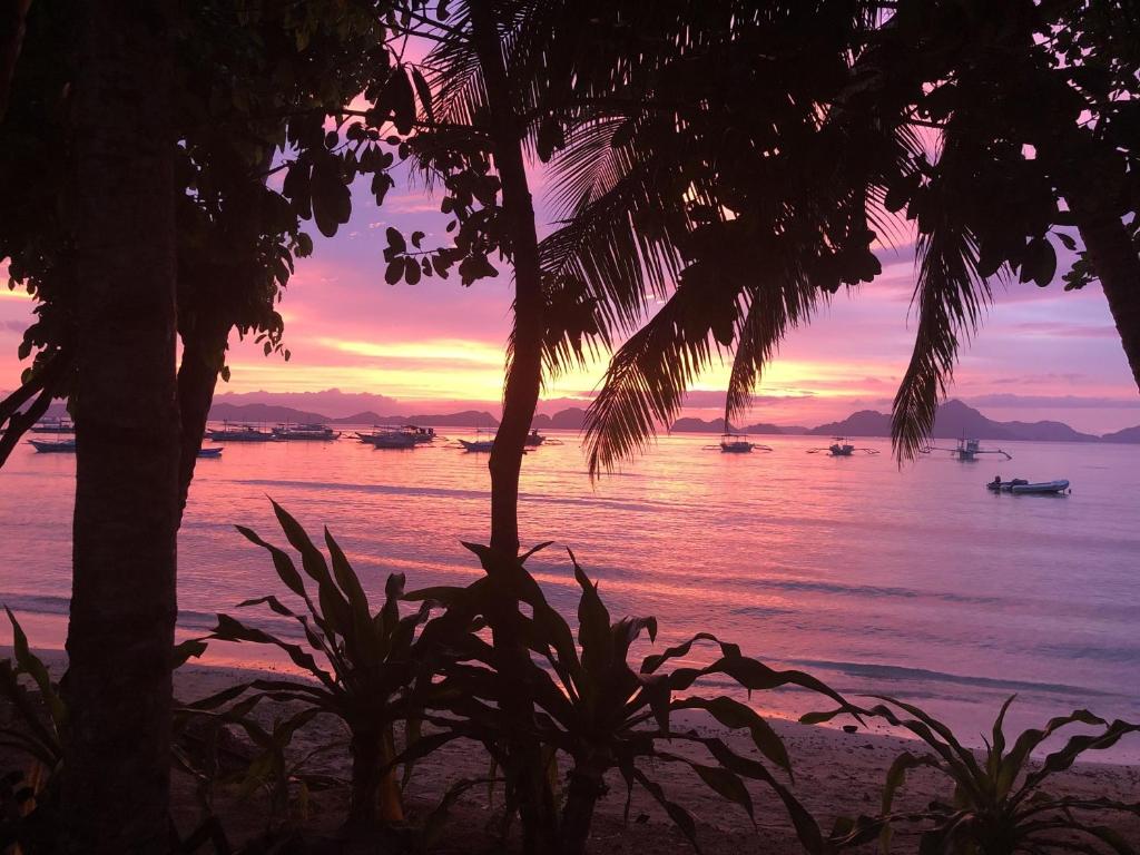 Mahogany Resort & Spa photo 4