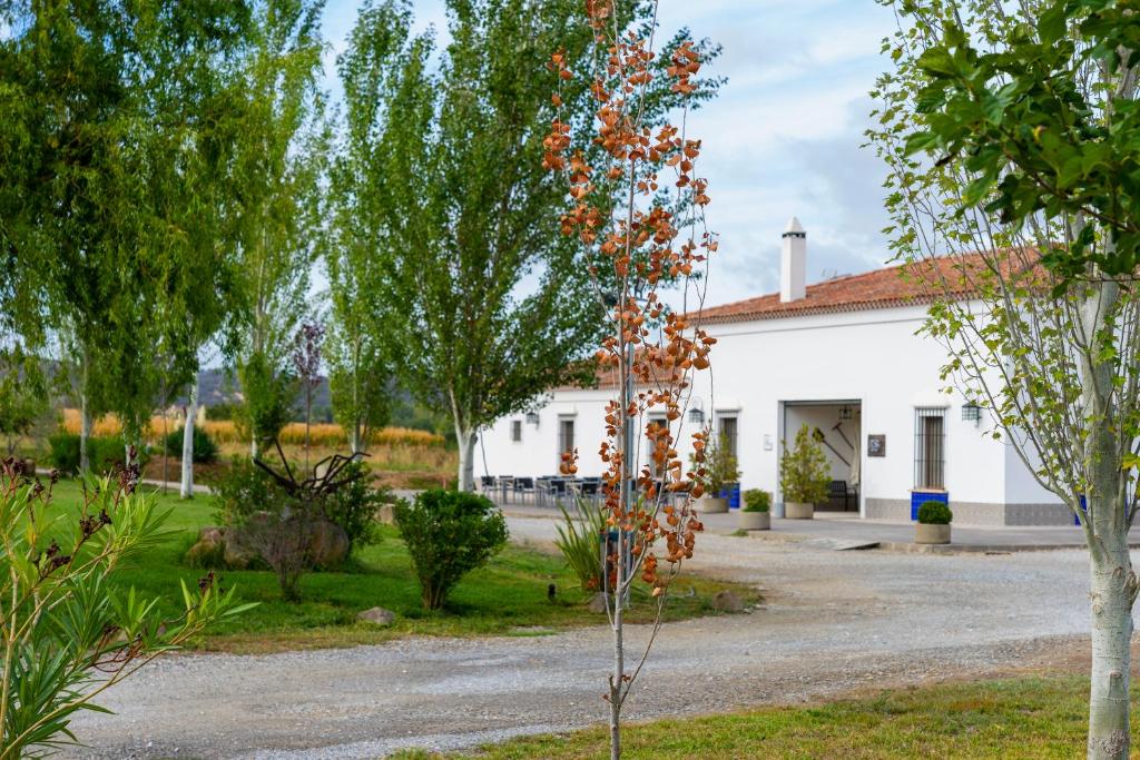 Hotel Rural Arroyo la Plata by Bossh Hotels photo 4