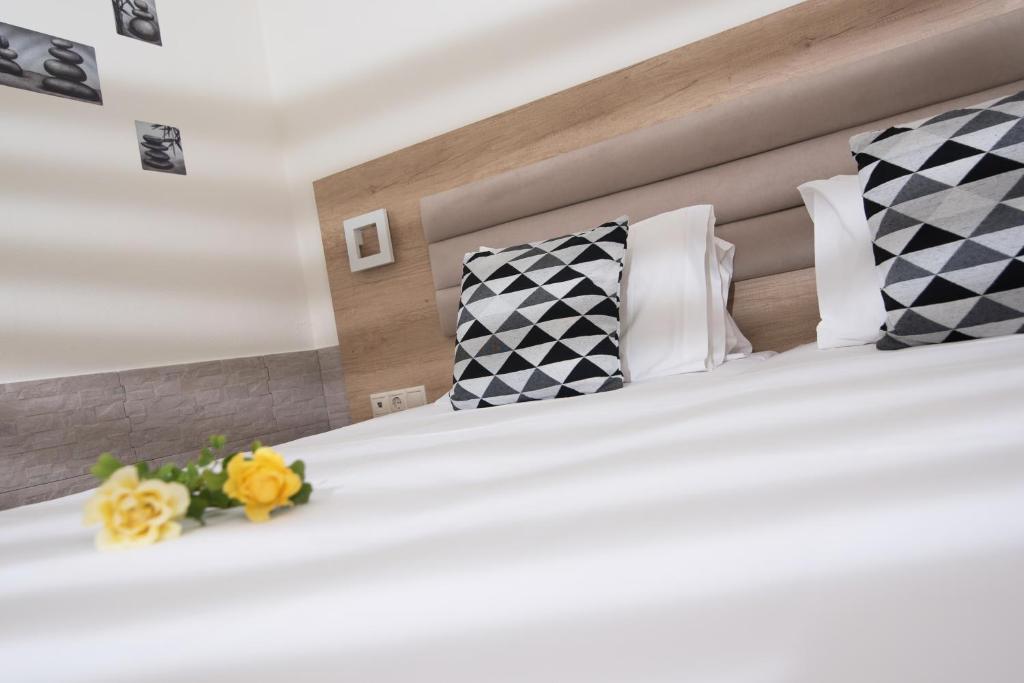 Vagelis Apartments Malia photo 3