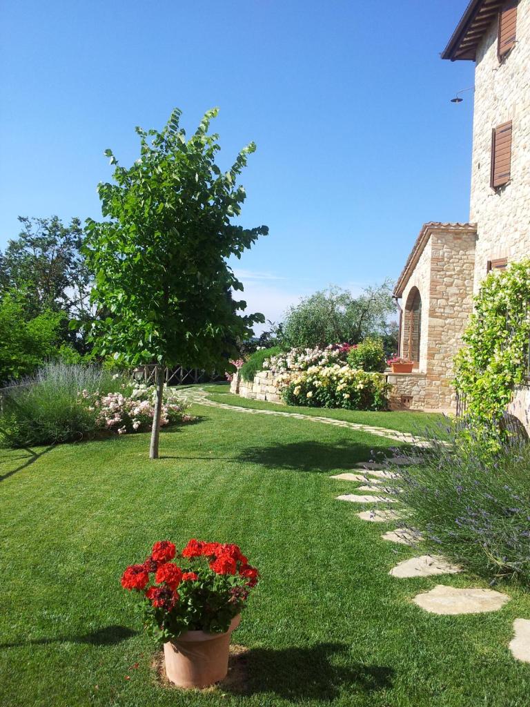 Agriturismo La Torraccia photo 4
