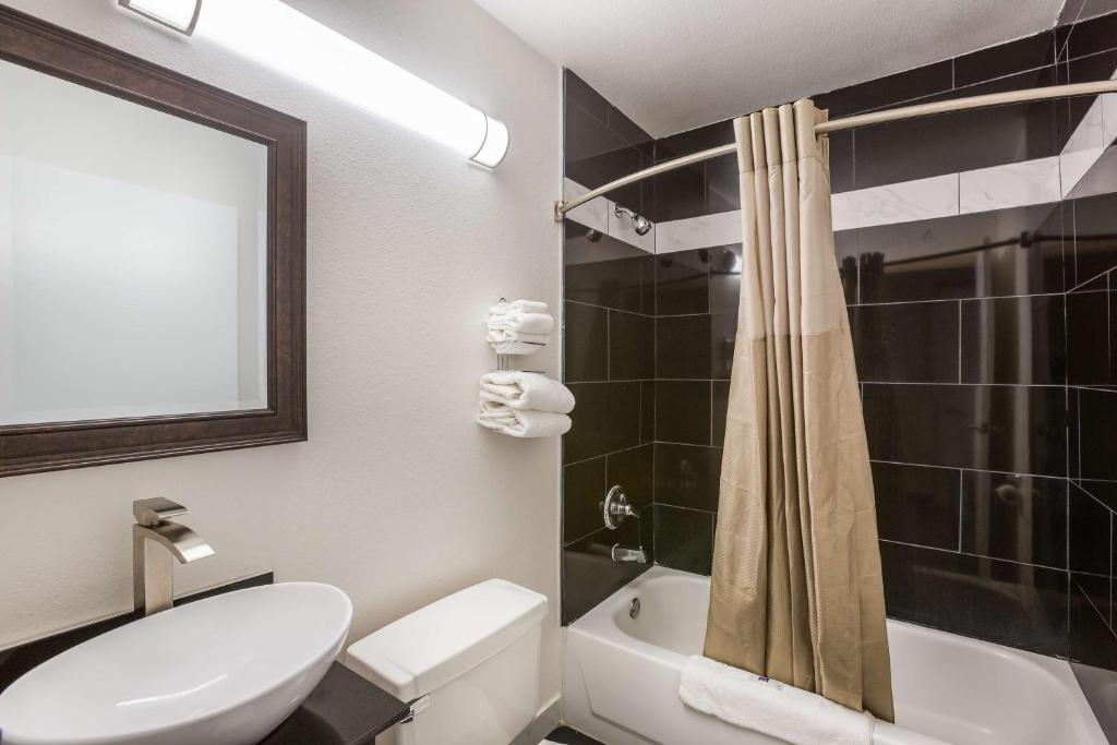 Двухместный (Номер Делюкс для некурящих с 1 кроватью размера 