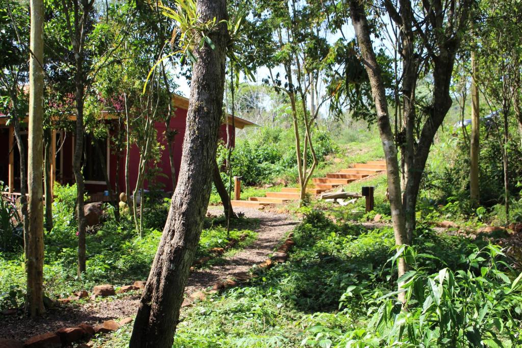 Yateí-house photo 2