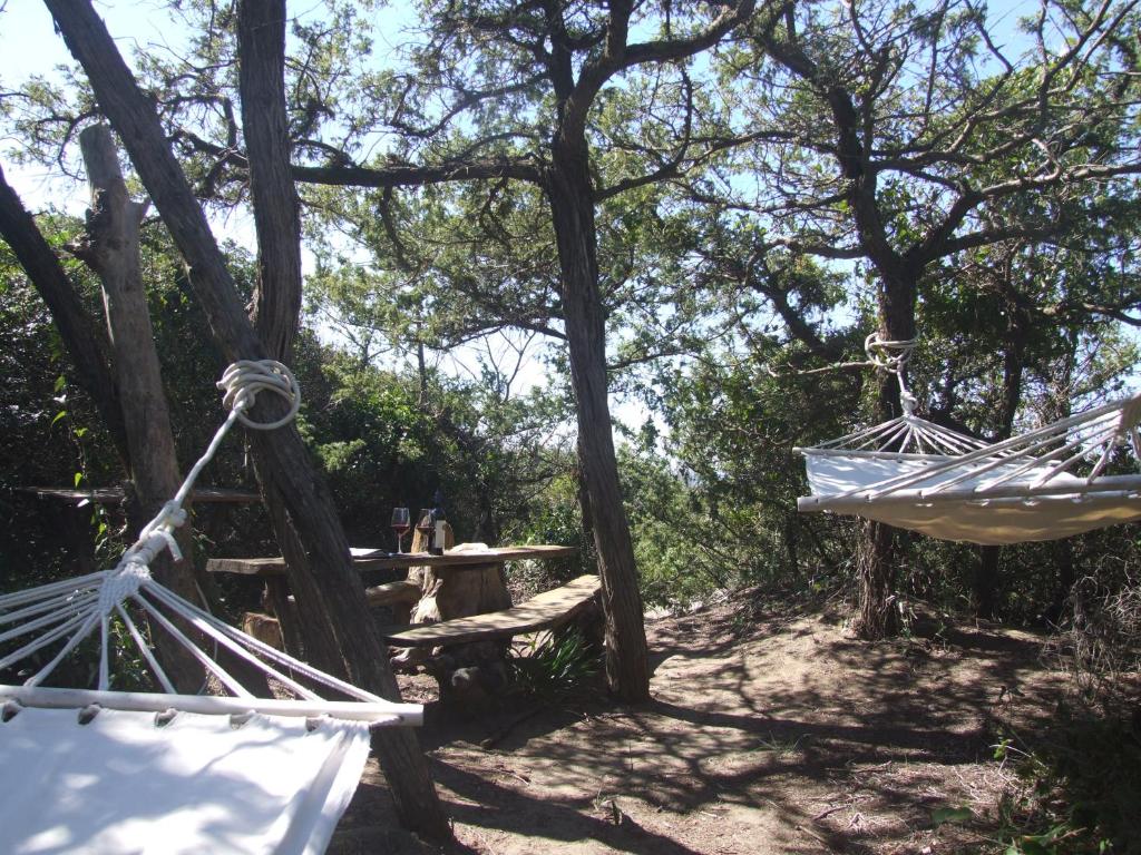 Vacanze Toscane In The Country - Villa Agrifogli photo 3