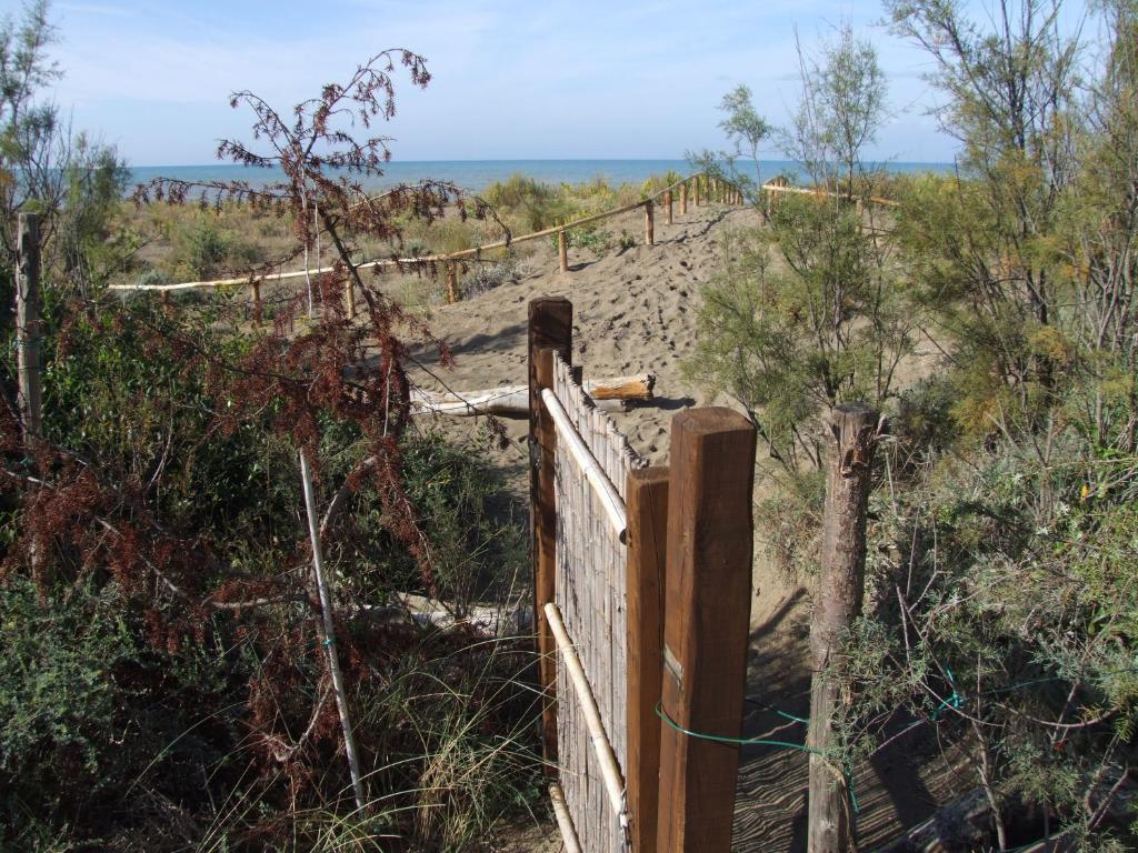 Vacanze Toscane In The Country - Villa Agrifogli photo 2