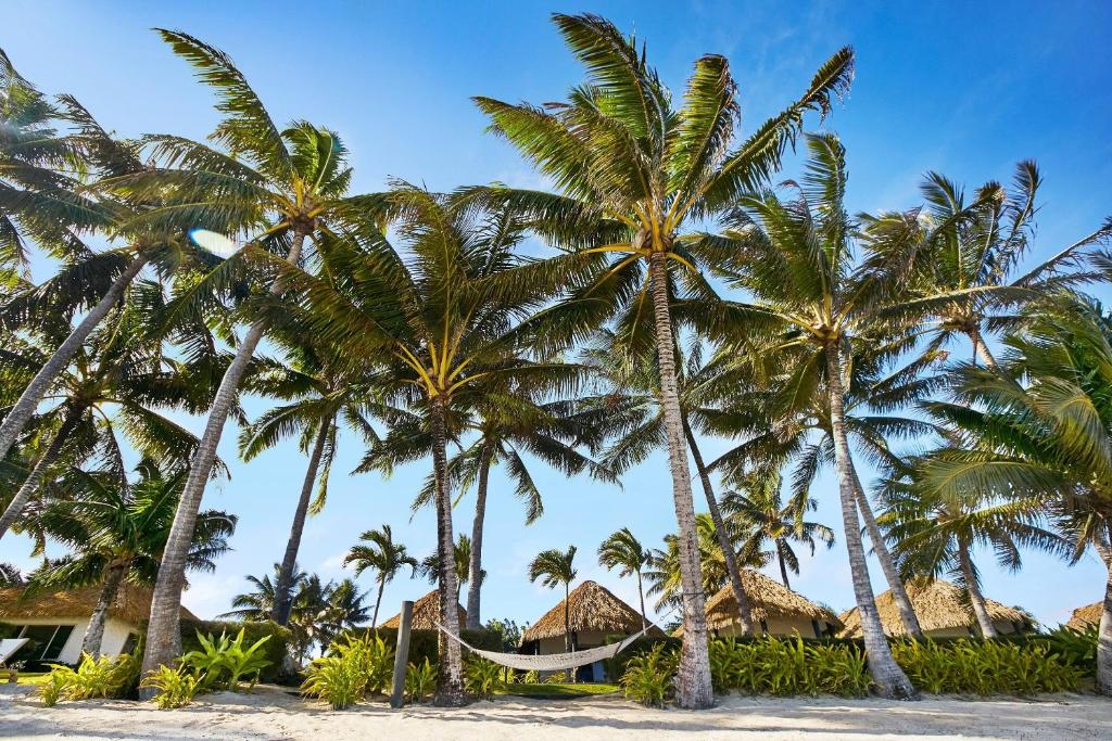 Motu Beachfront Art Villas photo 4