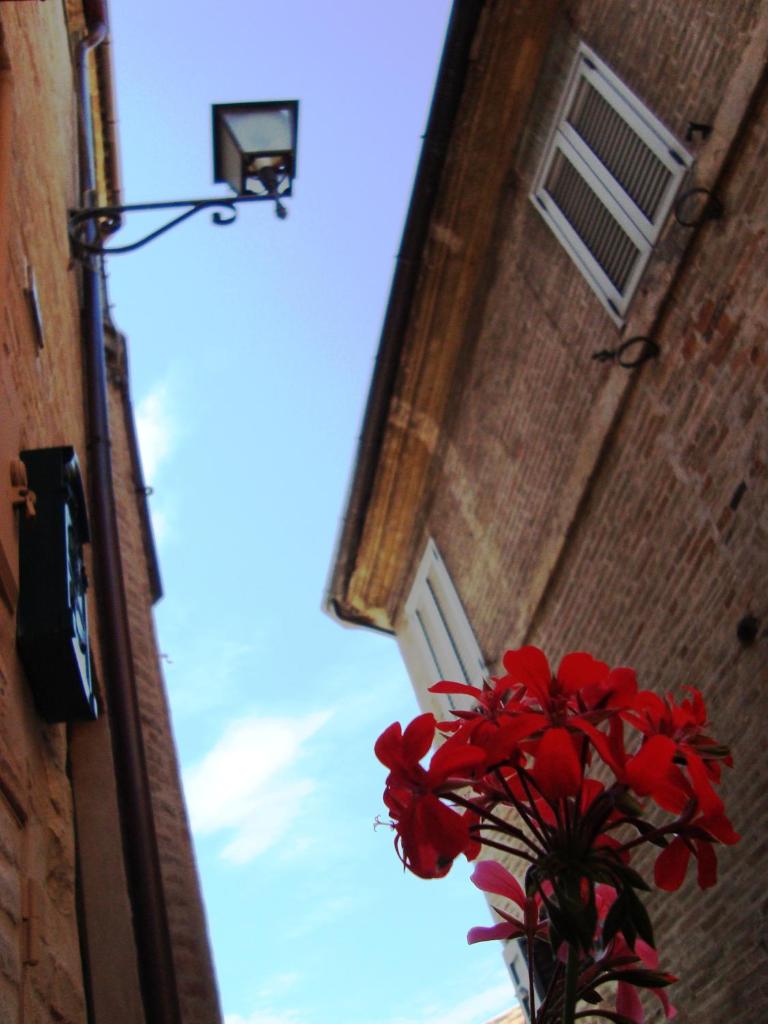 B&B La Lanterna photo 4
