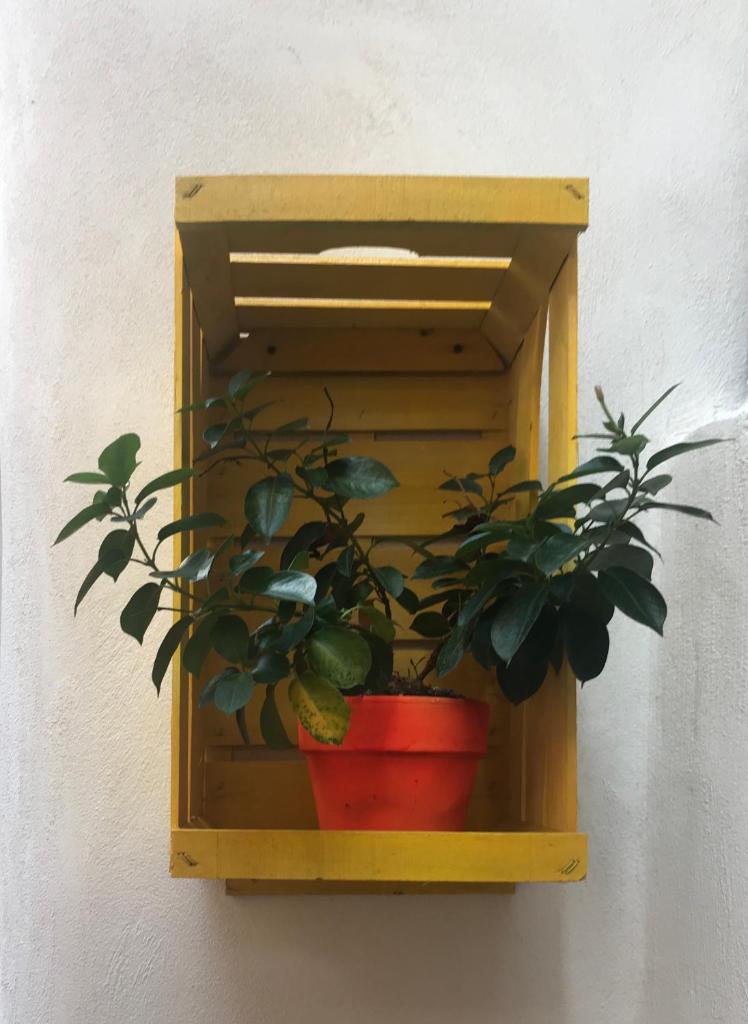 Vesuvio Rooms - Tap to explore photos
