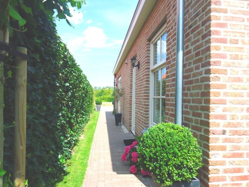 Ferienhaus Zeeduinsepoort photo 4