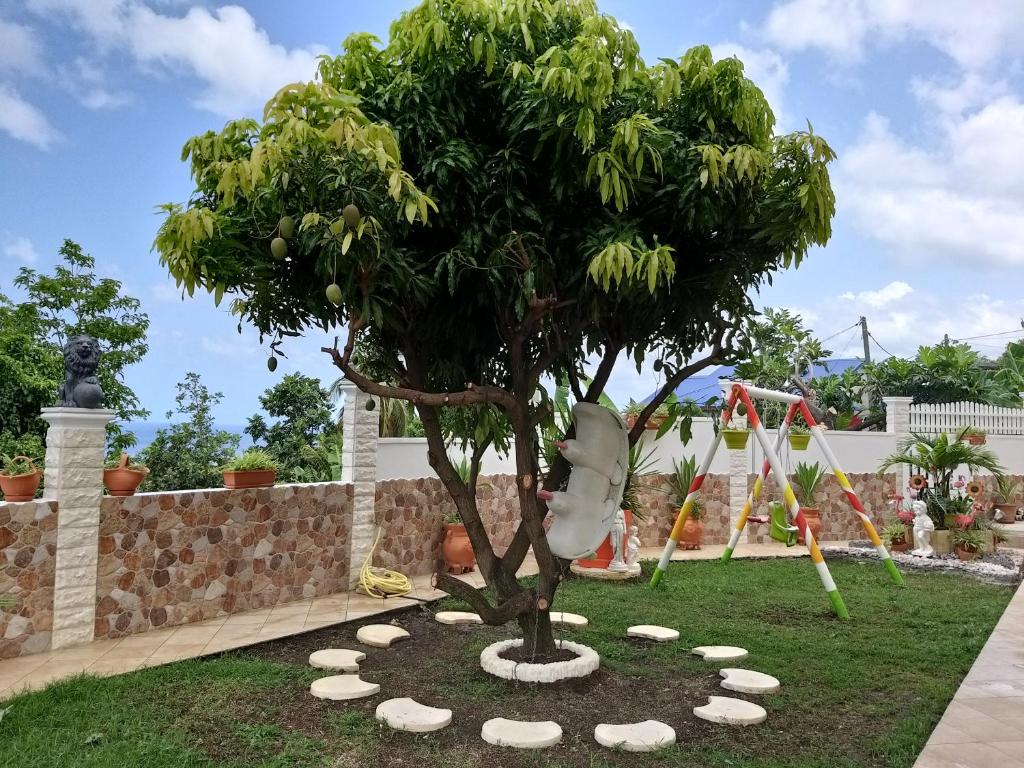 KANALU photo 1