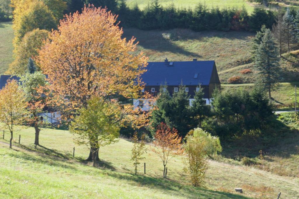 Haus Talruhe photo 2