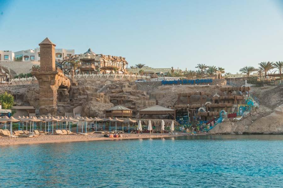 Одноместный (Одноместный номер с видом на бассейн), Sharks Bay Oasis