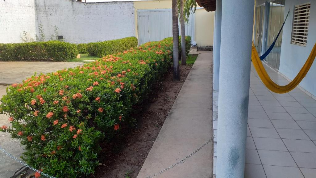 Hospedagem de daci photo 2