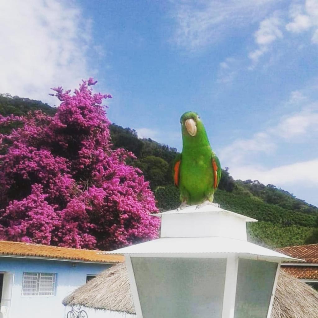 Pousada Primavera da Serra photo 2