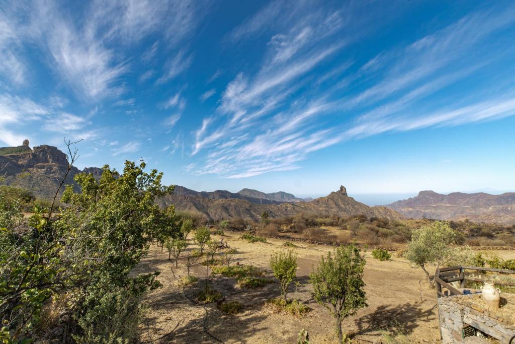 Finca La Isa photo 3