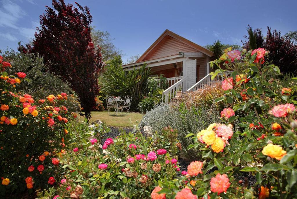 The Beautiful Cabins photo 2