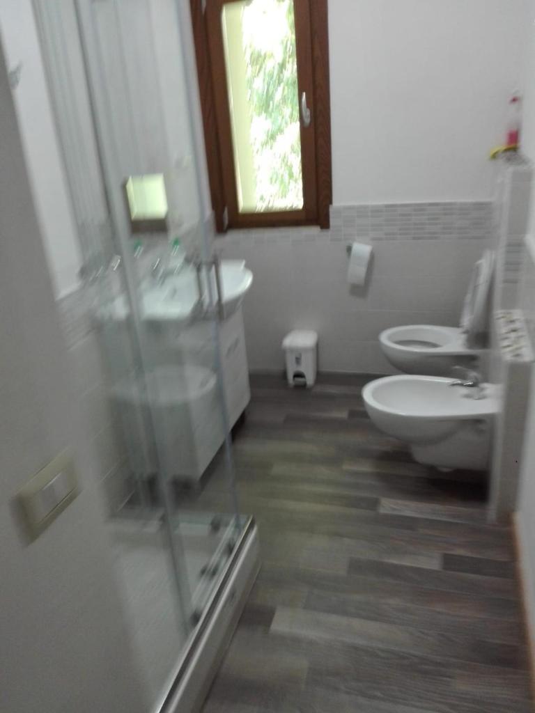 Il posto del ciliegio selvatico photo 2