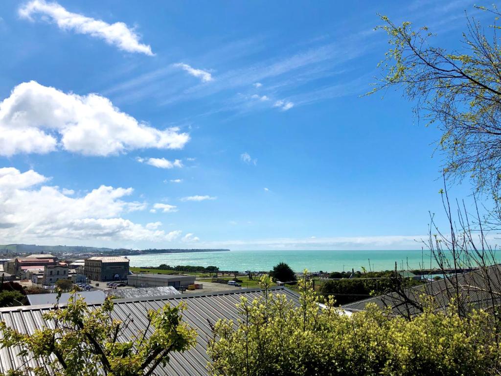 Oamaru Harbour Nest photo 3