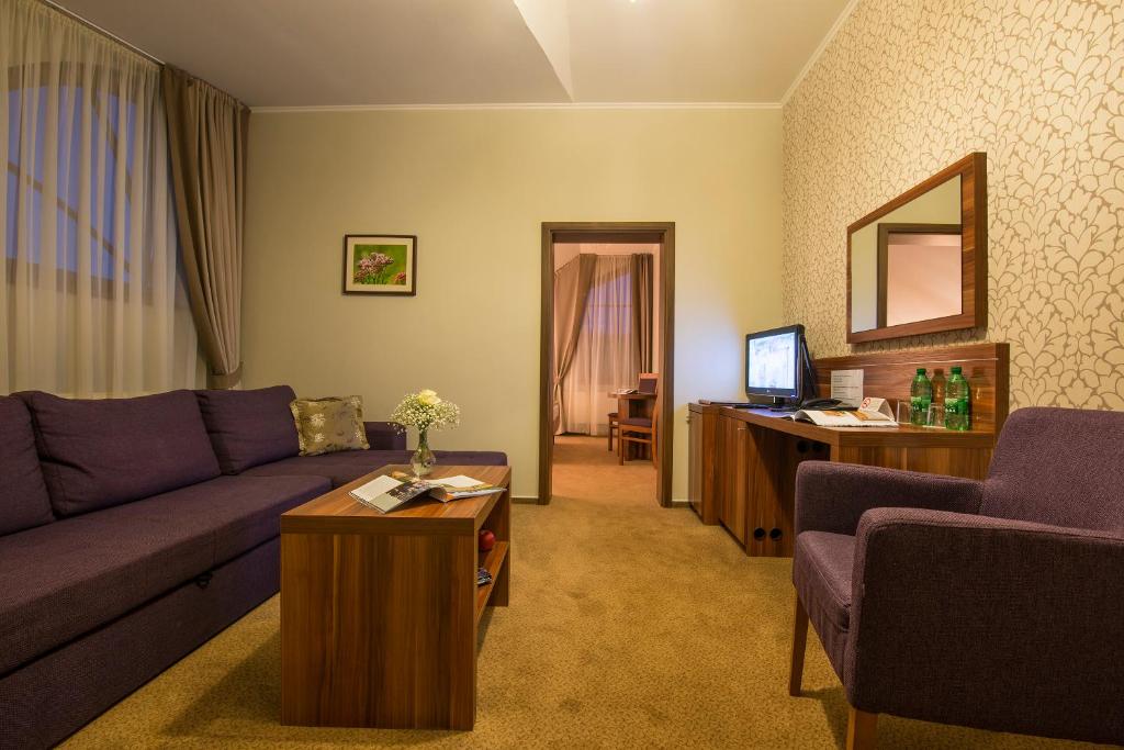 Сьюит (Улучшенный люкс), Wellness hotel Spark