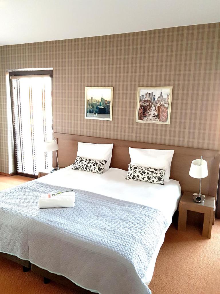 Двухместный (Улучшенный двухместный номер с 1 кроватью), Hotel Willowa