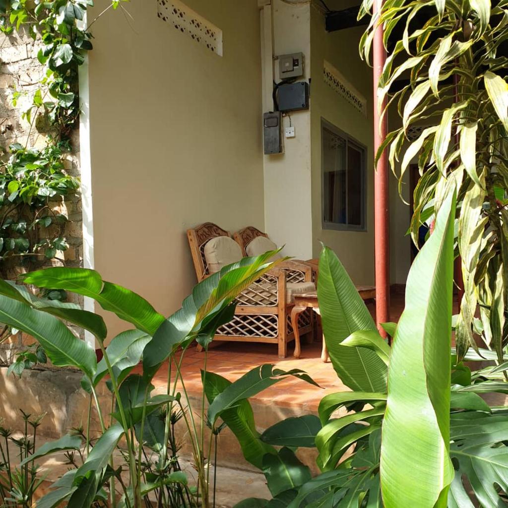 Bushbaby Lodge photo 1