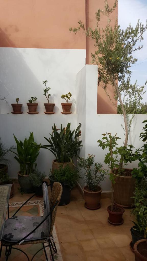 Riad Medina photo 3