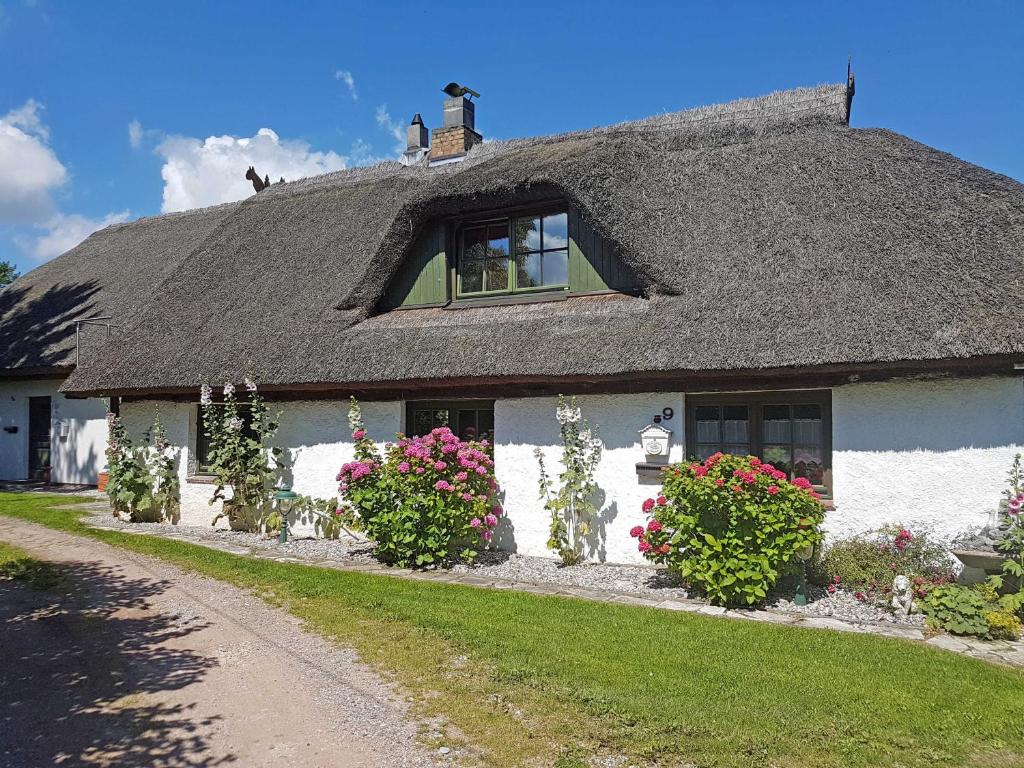 Ferienhaus und _wohnung unterm Ree photo 3