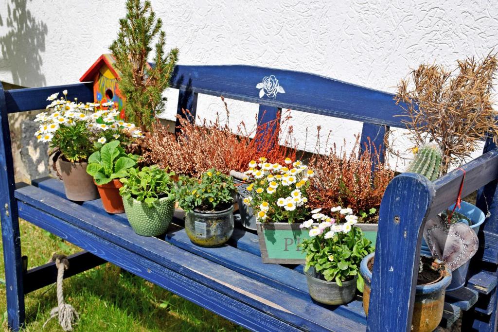 Ferienwohnungen Familie Looks photo 3