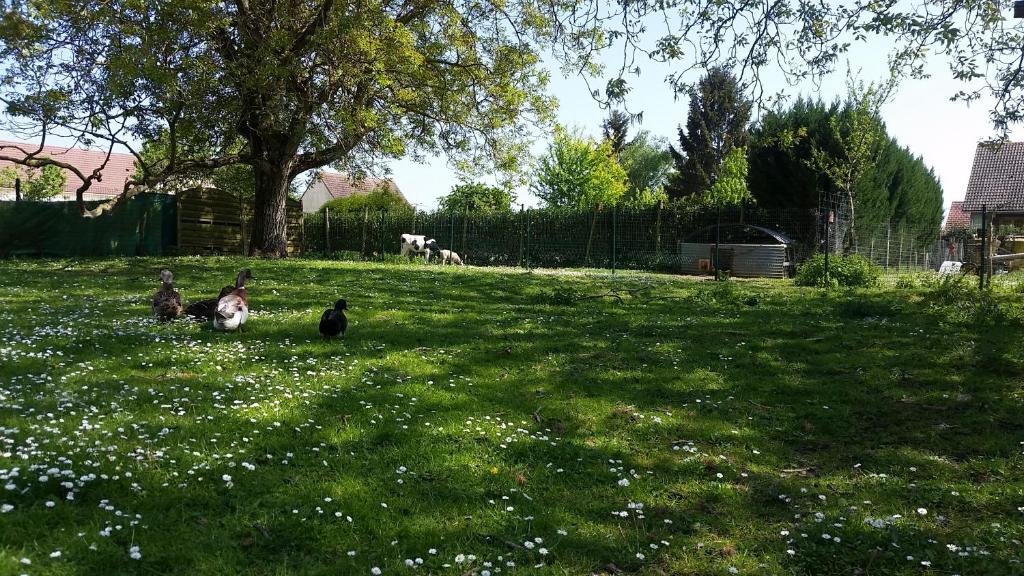 La ferme de flo' photo 3