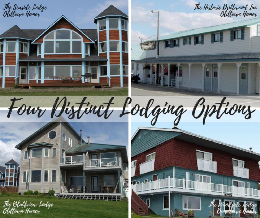 Driftwood Inn and Seaside Lodges image