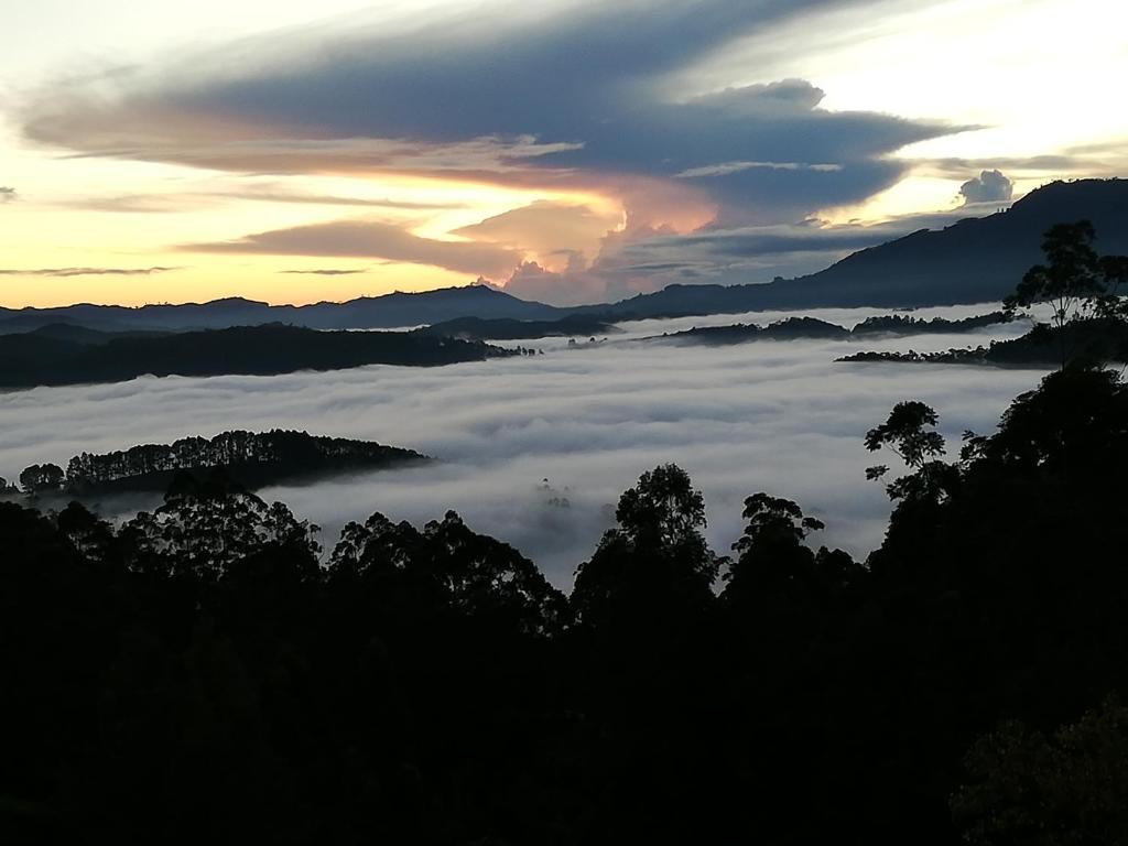 Ohiya Mount Plaza photo 2