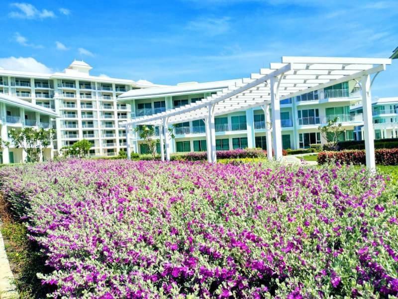 the energy huahin photo 4