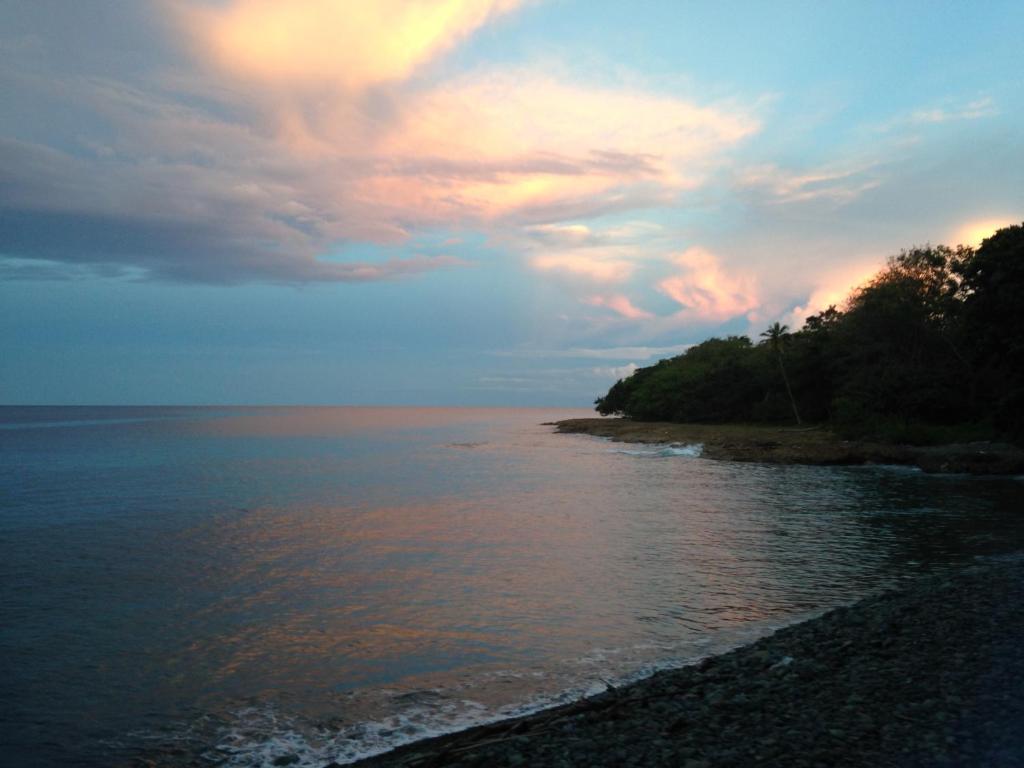 Finca El Regalo photo 3