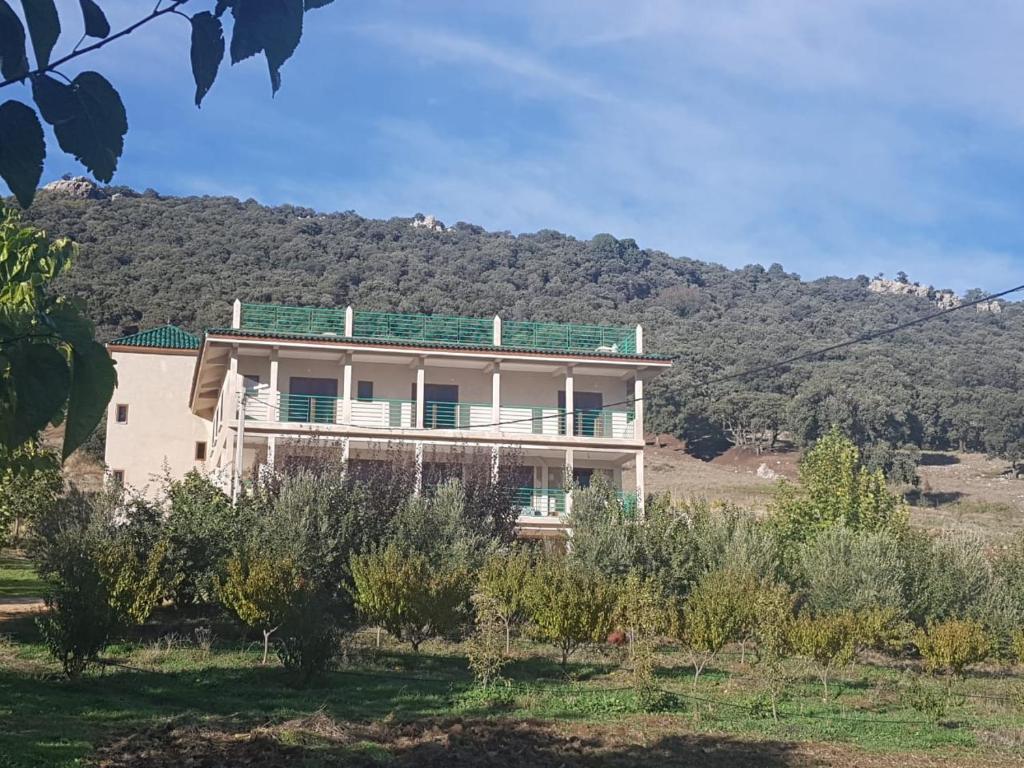 Le Chêne d´Azrou photo 2