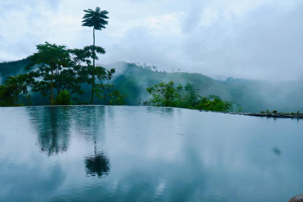 Paradise Eco Garden photo 4