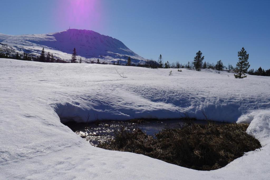 Kvitåvatn Fjellstue photo 4