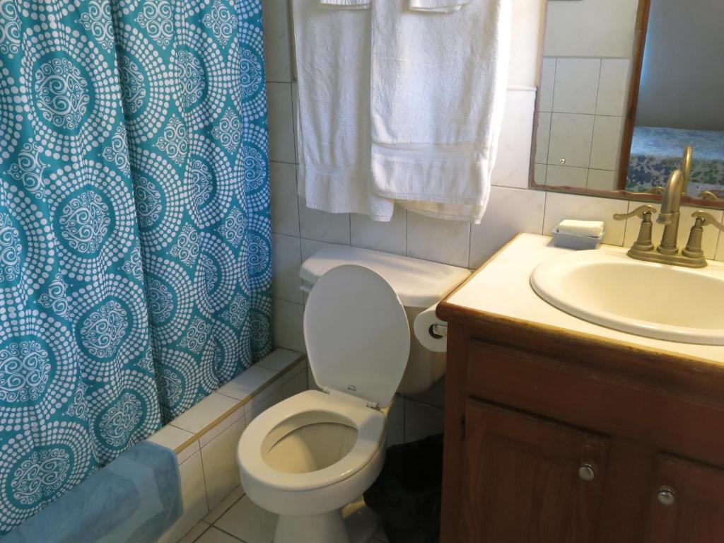 Gemini House Bed & Breakfast photo 1