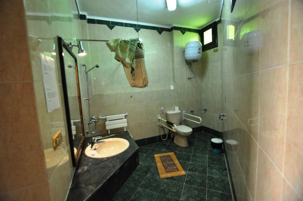 Одноместный (Одноместный номер Делюкс), El Nakhil Hotel