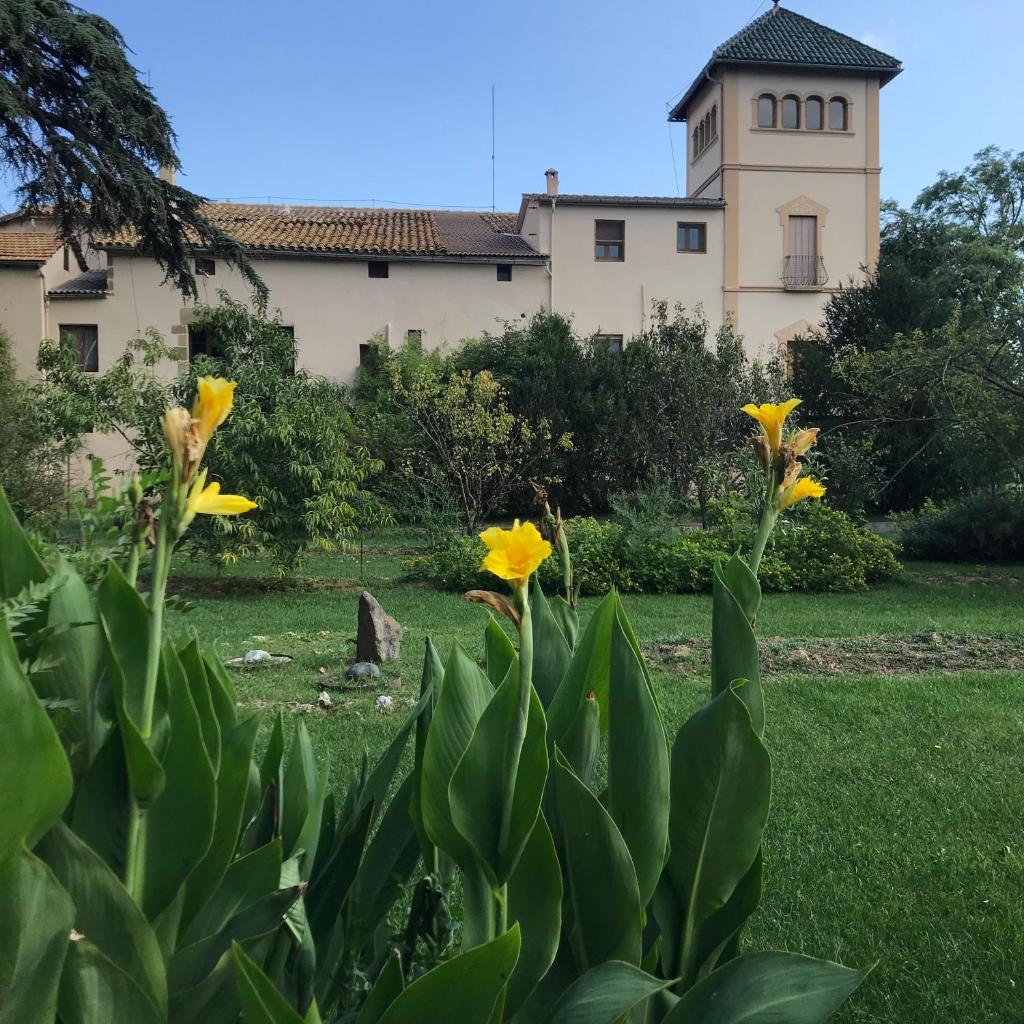 La Riera photo 1