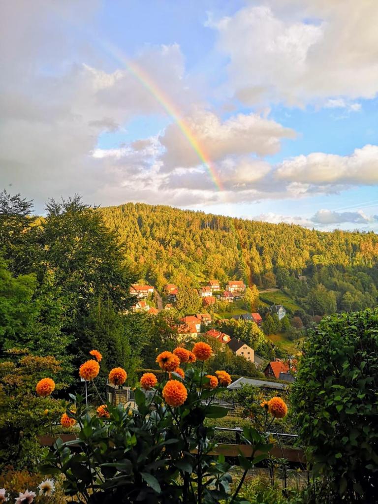 Pension Talblick Bad Grund photo 4