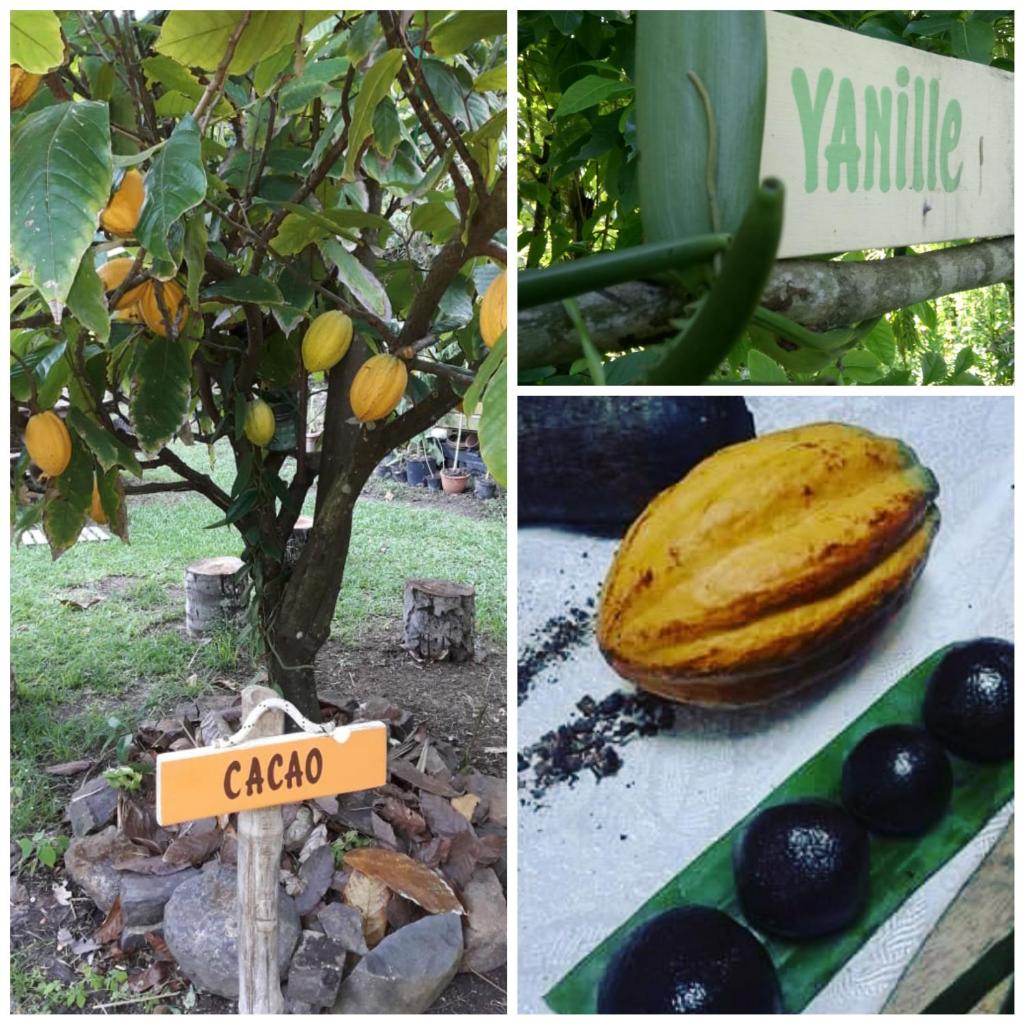 Villa CACAO photo 2