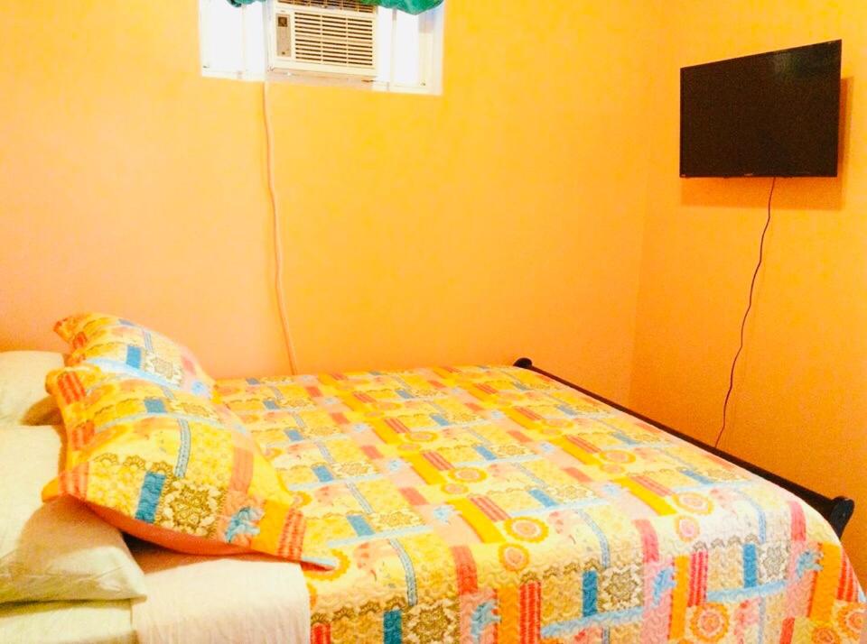 Alexander's Apartments photo 3