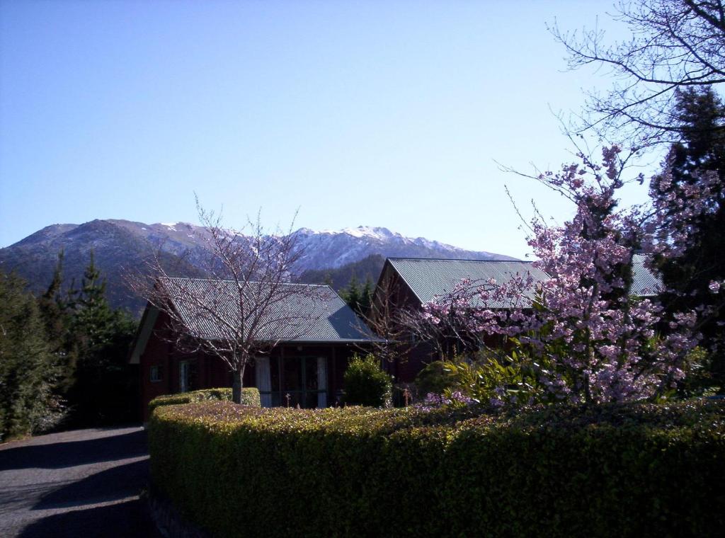 Forest Peak Motel photo 1