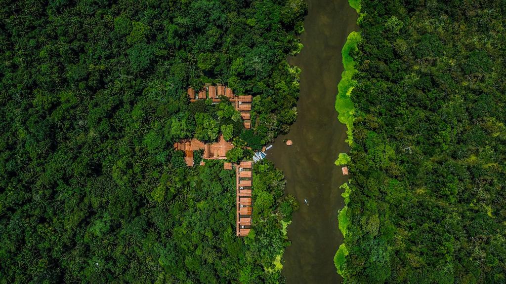 Amazon Muyuna Lodge - All Inclusive photo 1