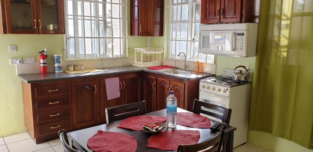 Unit 2 Private Apartment - Roseau photo 1