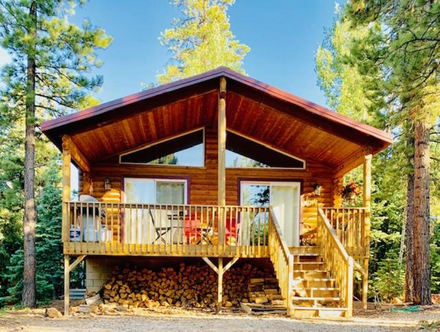 Adventure Awaits 3King Bed,2Bath Log Cabin in heart of Duck Creek Village! image